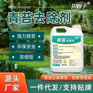 Moss remover cement floor step wall tile cleaning pool moss algae moss remover