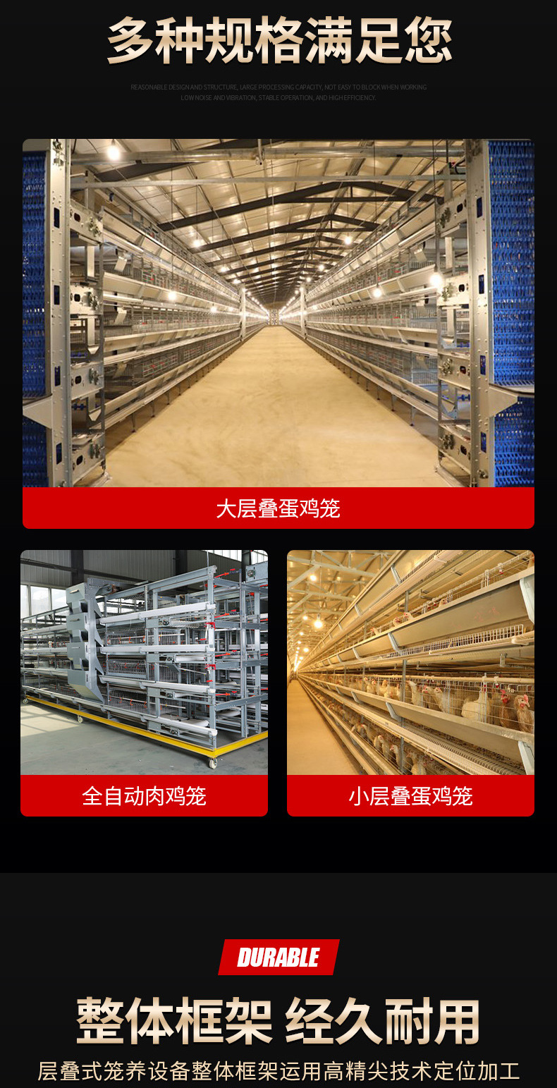 全自動肉蛋雞籠_03.jpg