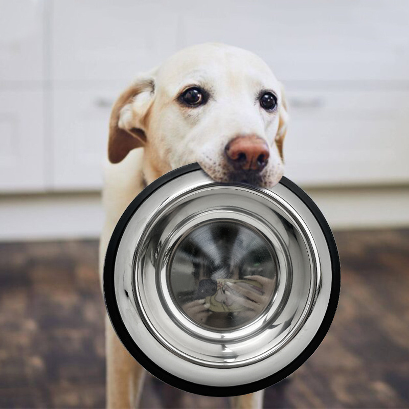 Tazón para perros Tazón para perros Tazón para perros Tazón para mascotas de acero inoxidable anti-volcado Tazón de arroz para perros Tazón de agua Suministros Tazón para mascotas Tazón para gatos antideslizante