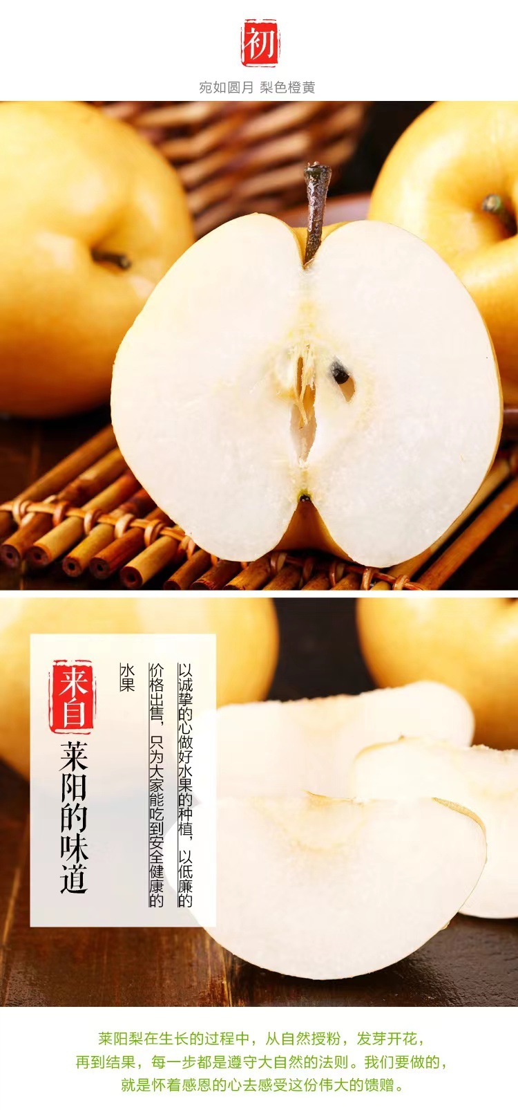 ca8fff91ee4d4949f5a4a7a420d902