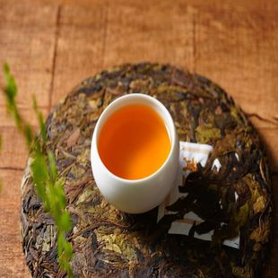 ���ҏS�����l2021����Ŵɽ��ɽ�����ǰ�紺��-�S��l���357��