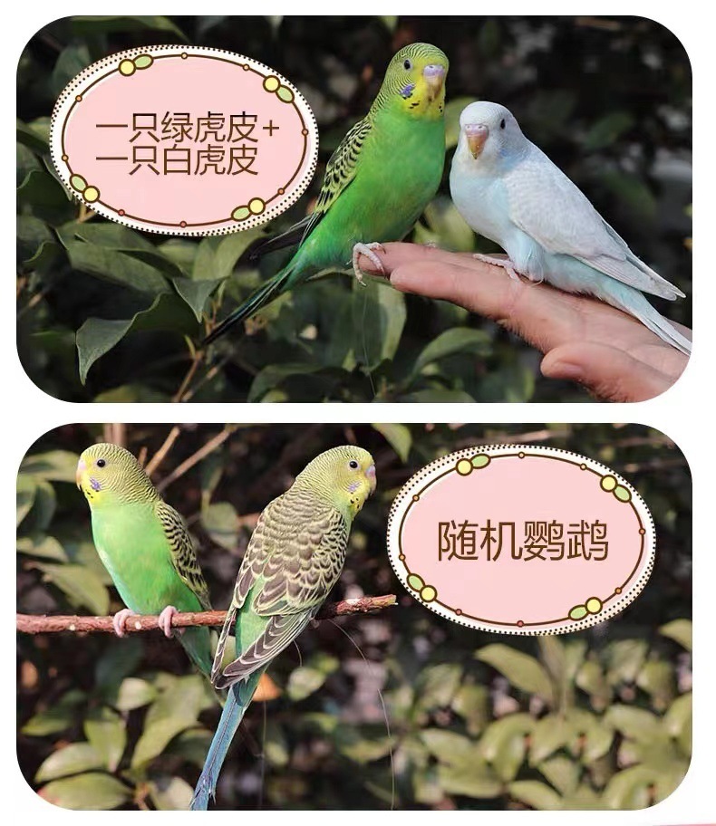 5b8cc395-d18f-40b8-9cbc-265fb121661f.jpe