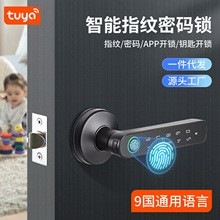 Q50涂鸦蓝牙智能把手锁家用办公室木门指纹刷卡密码手机APP开门