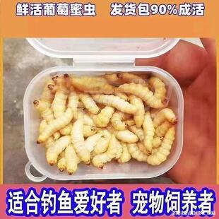 ly�����������x���w���x��Ϟ���۴����B�x�����،m���}���J���u��