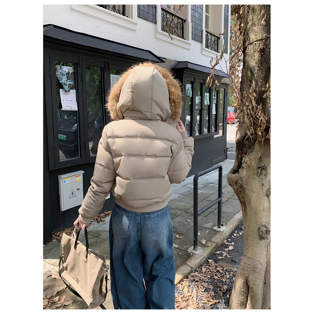 Coreano desmontable sombrero abrigo de algodón de cuello de lana mujer 2025 invierno nuevo abrigo de algodón corto suelto y delgado image 5