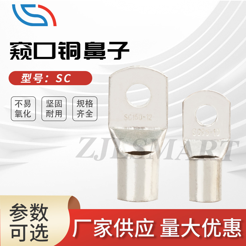 厂家直供 SC型铜鼻子 跨境窥口铜接线端子 新能源电缆用铜端头