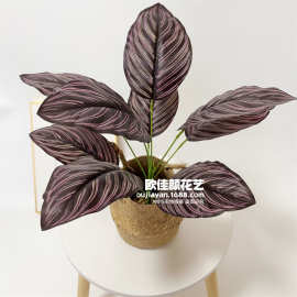 仿真绿植盆栽装饰植物叶子客厅花艺摆件墙面造景绿叶植物墙配材