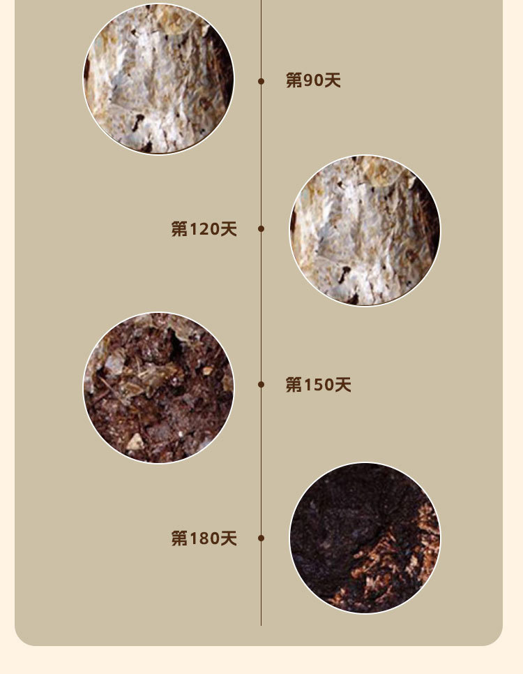 一键复制_20230428174202