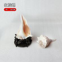 ���������Ȼ����ؐ�������ݴ��ݼo��Ʒ�Ҿ��ղؘ˱��[�����]