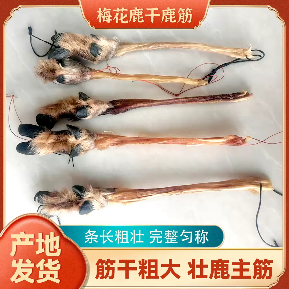 厂家批发梅花鹿壮鹿筋批发干鹿筋泡酒料鹿产品炖汤泡汤干鹿蹄筋净