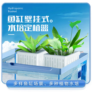 Hydroponic Planting Basket Fish Tank Water Grass Fixing Artifact Wall-mounted Planting Cup Landscape Decoration Argentina Earthless Basket