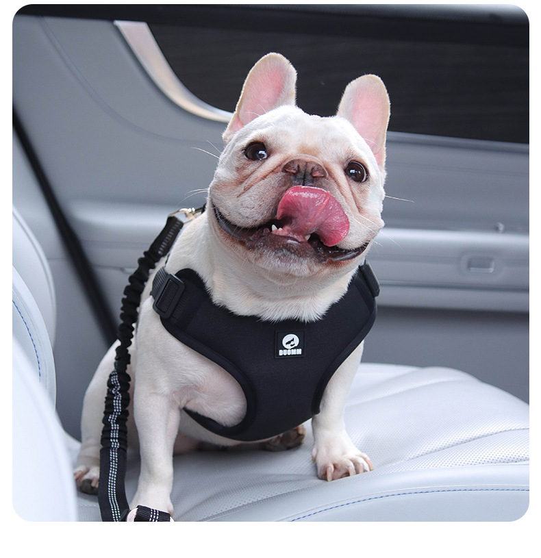 Bequemer Anti-rutsch-sicherheitsgurt Für Hunde Im Auto_voghion.com