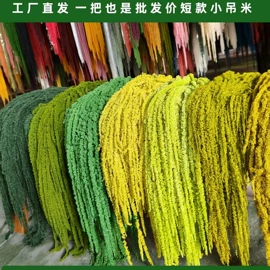 永生花;干花;鲜花花艺制品