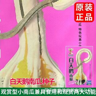 �����Z�ϹϷN������Ϲ��� �׷N��ͥ�҃��̨�N���Դ����߲˷N