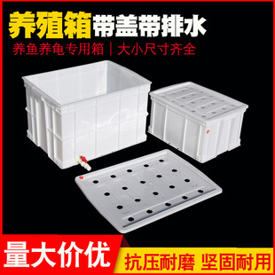 Large Fish Farming Turtle Plastic Water Tank with Breathable Hole White Plastic Box with Lid Drain Valve Aquaculture Turnover Box