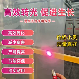 其他塑料薄膜;农用薄膜;功能薄膜