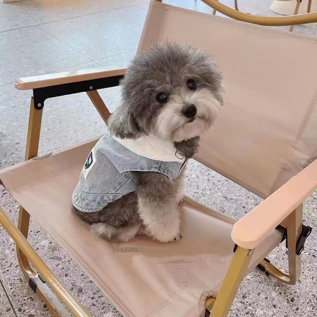 (2개) 애완 동물 옷 | 귀여운 | 카우보이 바쁜 잘 생긴 개 곰 모자 데님 봄 가을