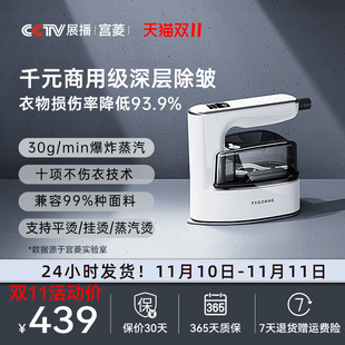 Handheld Garment Ironing Machine, Pressurized Ironing Machine, Household Small Portable Steam Electric Iron, Gongling, Other Details Not Available
