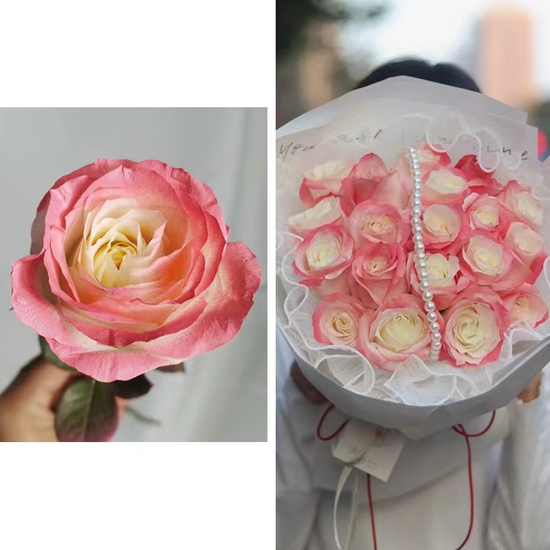 Internet celebridad ciruela negro rosa púrpura flores autopintadas agente de pulverización de color tinte floral spray colorante