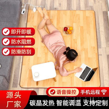 石墨烯炕韩国电热膜家用垫碳晶地毯客厅电热电暖地暖加热地垫发热