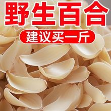 ^ٺrƬٺϸɟoٺϰٺϸЇʳraƷ