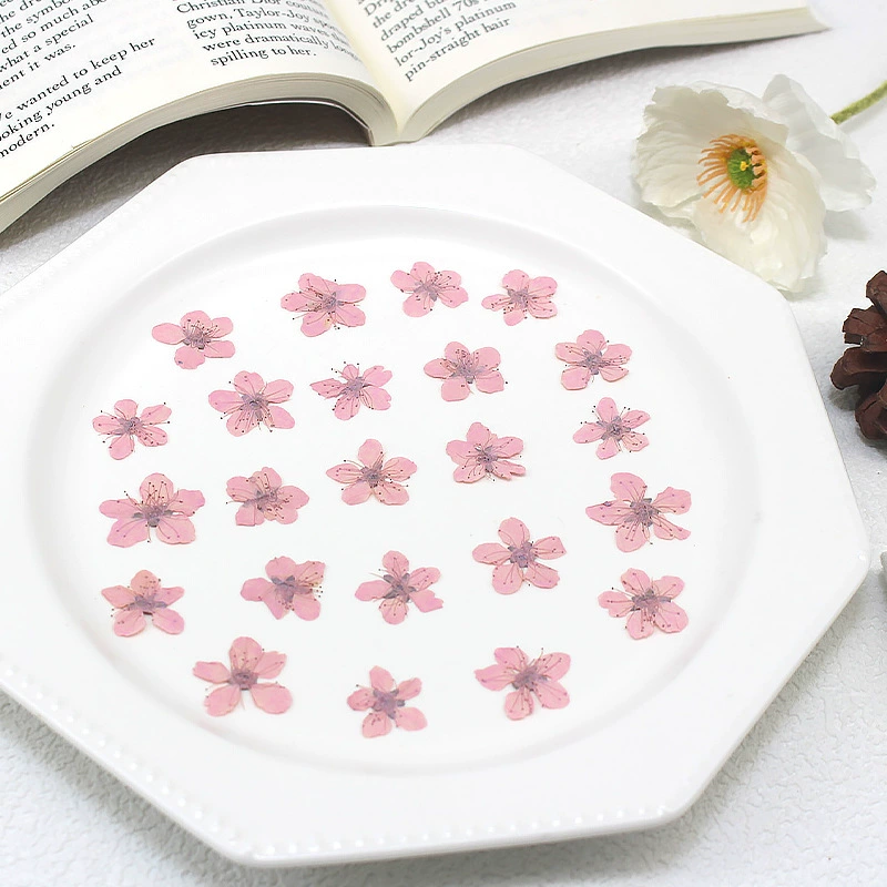 Дикий цветок сливы, сушеный цветок, сопровождающий тиснение diy капающий клей Diy материал для мобильного телефона чехол для ногтей ювелирные изделия, рамка для фотографий ручной работы