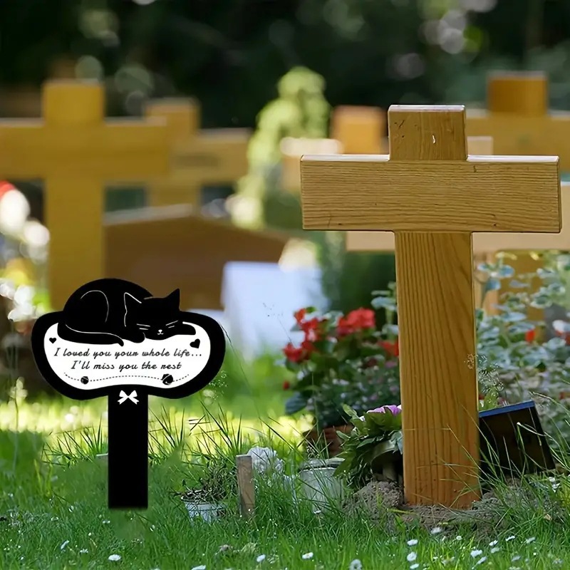 b6c3754fd7782a2a83b9ba1da0d8a1