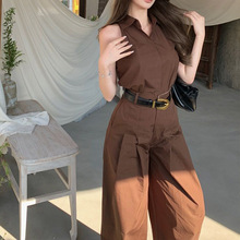 干练气质女装套装棕色polo领无袖衬衫上衣夏季休闲阔腿裤子两件套