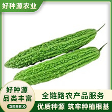 ���S��ϷN�ӷN����޽ӎ�����ȫ���O���߲������ļ����������ش�