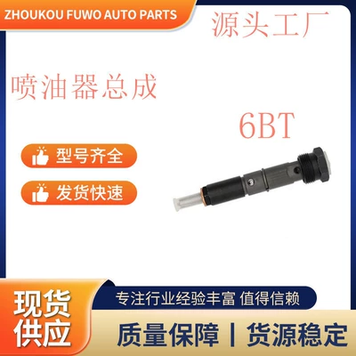 Suitable for Engineering Machinery 6Bt Engine Fuel Injector with Sealing Gasket 3922409 3355015 (Oil pump, nozzle)
