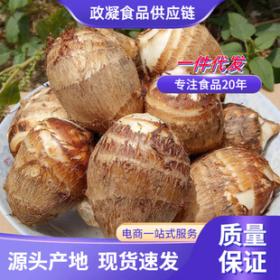 ɽ�|Сë���^ 3/5�� �r���ԷN��Ŵ����С�����r�����߲������^