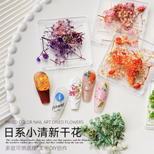 日系ins新款混色蕾丝花干花油画风混合小干花碎花押花美甲diy套盒