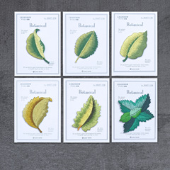 芭蕉葉刺繡小清新葉子裝飾衣服布貼DIY服裝輔料補洞貼批發F1-11