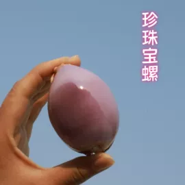 海螺/贝壳;工艺原料;风铃