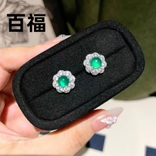 ʽWGᔏ͹pݱ͸ŵ|ٴظ߼