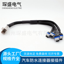 适用于汽车点火线圈线束 通用雪佛兰GMC-LQ4-LQ9-LS2-LS7 DAC044