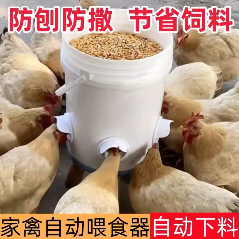 Автоматическая кормушка для кур, чтобы мыши не кормили кур, специальный инструмент для ленивых, чтобы они могли есть, автоматическая кормушка, чтобы куры не царапали кормушку.