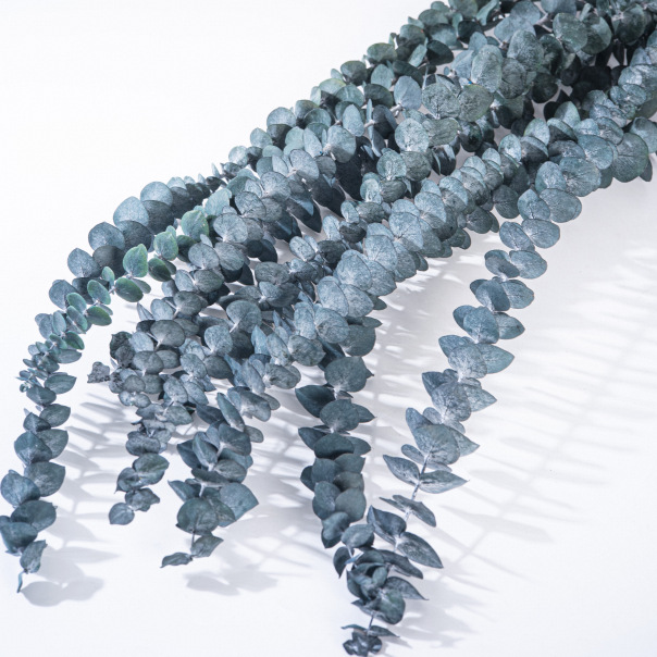 블루 45CM (10개들이 1묶음)