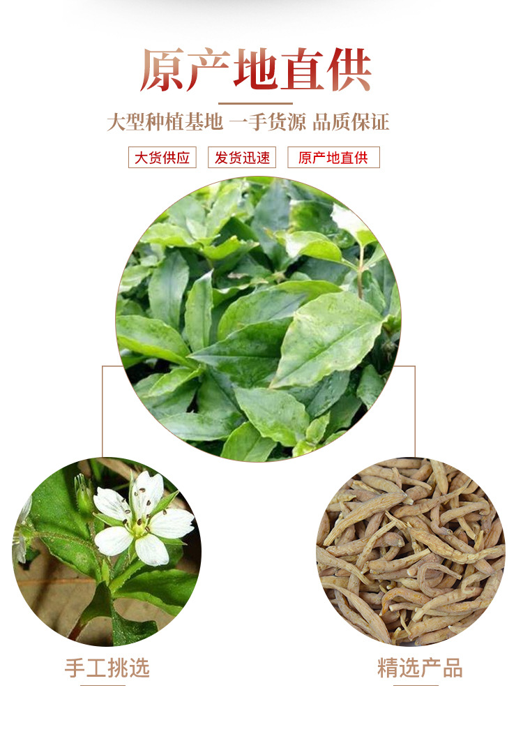 Taizishen Dried Pseudostellaria Root TCM Herbal Tea and Soup Ingredient 500g Bulk Pack quality and texture