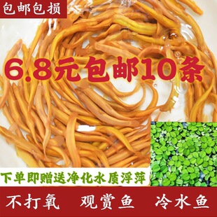 �S���q�������B�^�p�~�S�����q��ˮ�~С���~�ͻ��^�p�~���]