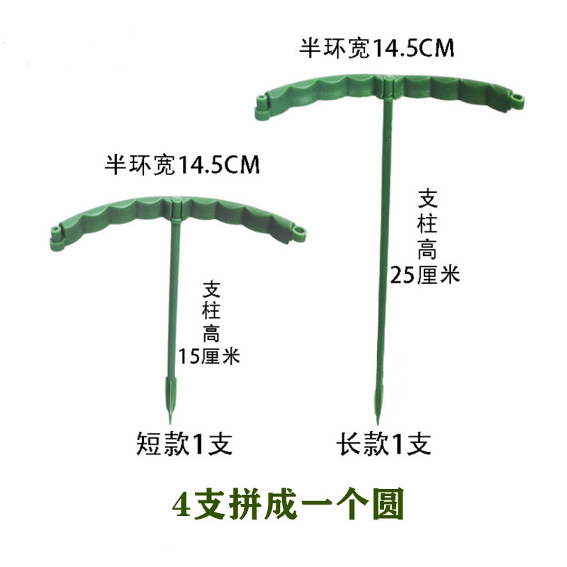 蟹爪兰支架2_副本