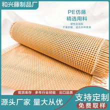 外贸工厂直供PE塑料茜笪藤网耐高温防水户外家装隔断装饰料