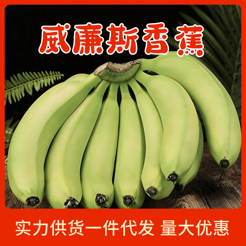 Williams Banana Wholesale Seasonal Fresh Bananas 2.5kg Packs 5kg Packs 100g Banana Direct from the Place of Origin, Sweet and Fragrant