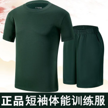 际华3543原厂体能服男套装正军迷橄榄绿训练服短袖裤T恤服饰品