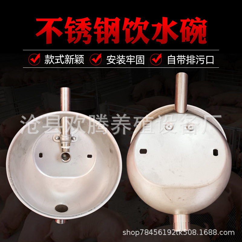 Fuente de la fábrica de acero inoxidable para beber tazón de agua de salida de aguas residuales de cerdo para cerdos con equipo automático de fuente de agua potable