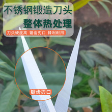 采果剪稀果剪葡萄疏花剪修花修枝剪柑橘子花椒采摘摘果剪刀