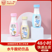 新品水牛酸奶饮品 生牛乳发酵小瓶营养草莓味 原味儿童酸奶整箱