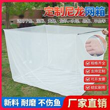 �����o�Y�W������ܛ�W�����w�����������W���q�S�X�Bֳ���þW