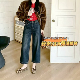 �t���~ϵ��2026�������ߏ��@�ݲ��ⷨ��ѝС����88865