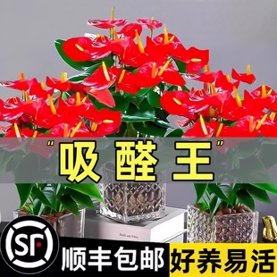 ˮ��t���������\���^����һ���L��҃ȃ����՚��ļ����ܾGֲ���l